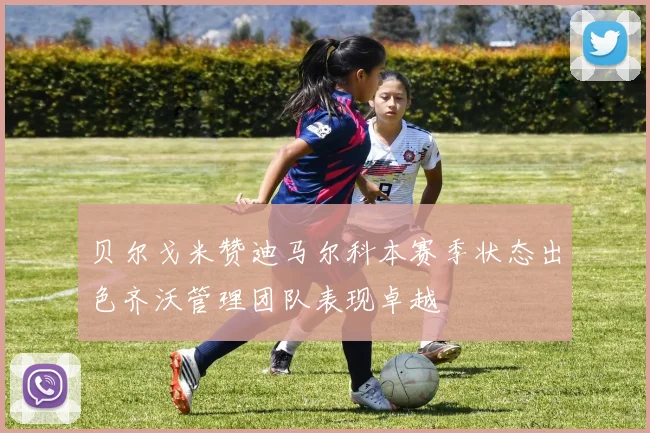 贝尔戈米赞迪马尔科本赛季状态出色齐沃管理团队表现卓越