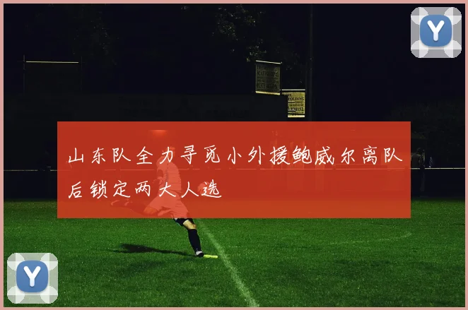 山东队全力寻觅小外援鲍威尔离队后锁定两大人选
